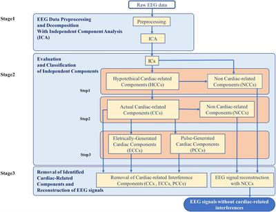 Automatic Removal of Cardiac Interference (ARCI): A New Approach for EEG Data